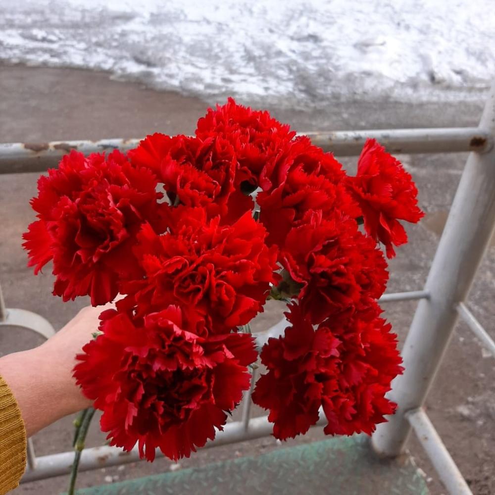 Букет из девяти красных гвоздик 