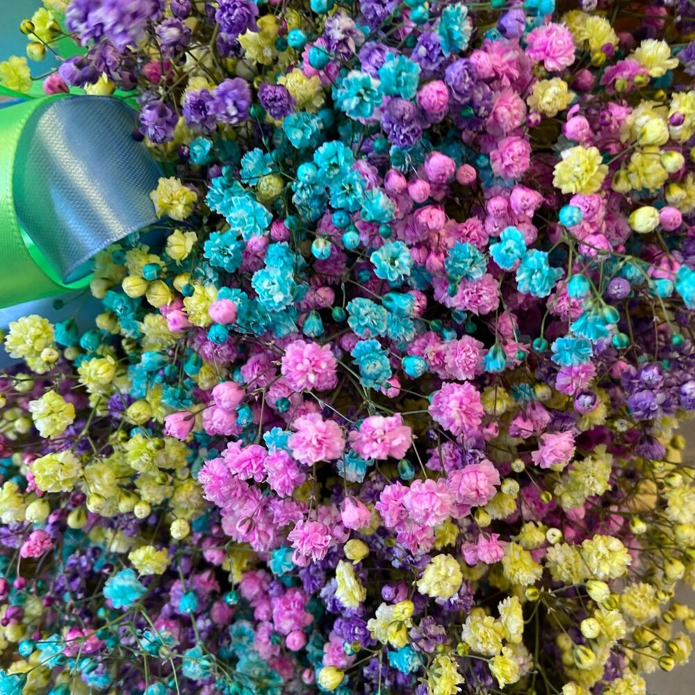 Радужная гипсофила в коробке «Медвежонок» Радужная гипсофила в коробке «Медвежонок»