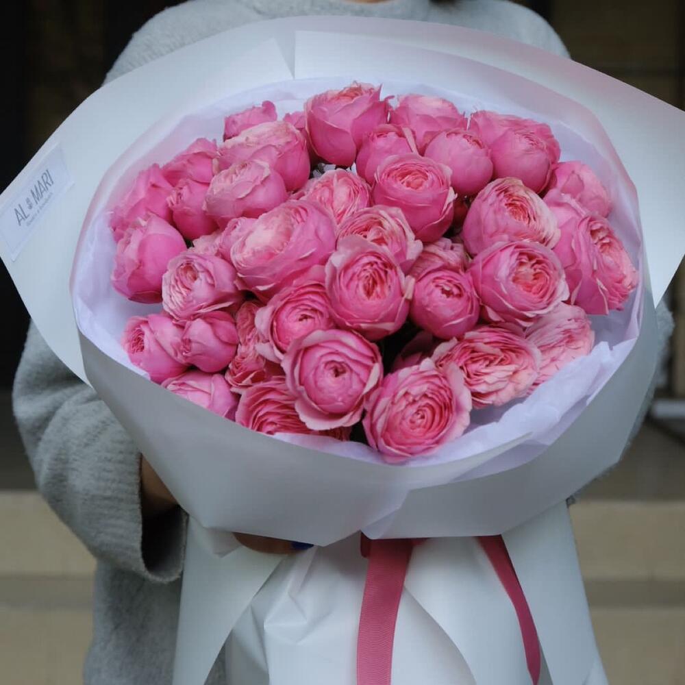 Моно Сильва Пинк